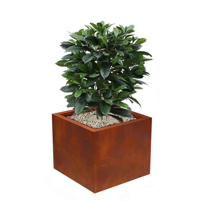 กำหนดเองกลางแจ้งขนาดใหญ่ชาวไร่กล่องสี่เหลี่ยม Corten Steel กระถางดอกไม้