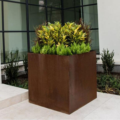 SGS TUV Corten Steel Cube Planter Laser Cut เครื่องปลูกเหล็กกันสนิม