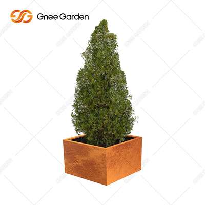 กล่องเหล็กชาวไร่ Corten Steel ที่เป็นสนิมในลานกลางแจ้ง