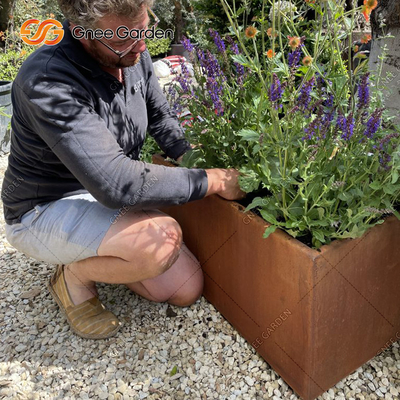 1200 * 500 * 600mm Corten Steel Vegetable Planters กล่องชาวไร่โลหะสนิม