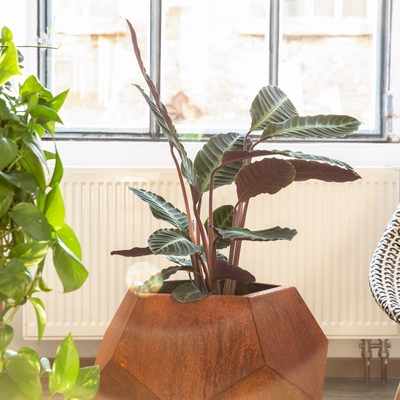 เลเซอร์ตัด Corten Steel Planter สวน กระถางดอกไม้กลางแจ้ง
