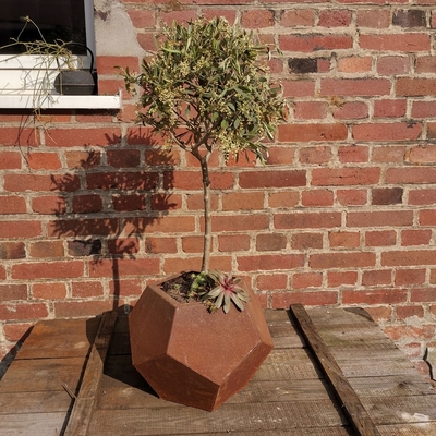เลเซอร์ตัด Corten Steel Planter สวน กระถางดอกไม้กลางแจ้ง