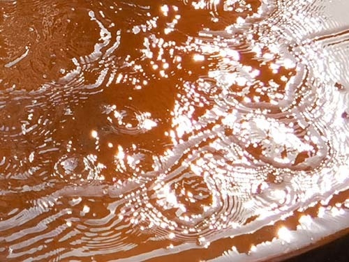Dia 600mm เครื่องประดับตกแต่งสวนโลหะ Corten Steel Water Table